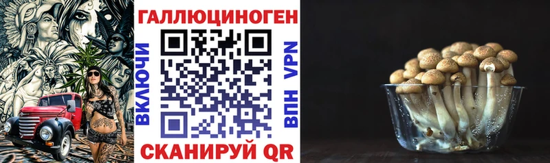 закладки Александров Псилоцибиновые грибы прущие грибы